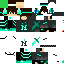 Texture for Sebaspro507