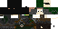 Texture for Cree the elve