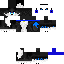Texture for MAX