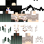 Texture for s60