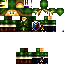 Texture for Link