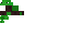 Texture for Baby Turtle