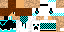 Texture for dsdf