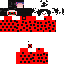 Texture for LaydBug Buse