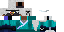 Texture for Ninja Steve