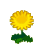 Texture for AC:CF Dandelion