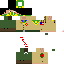 Texture for SCOUT