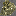 Texture for pyrite