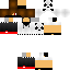 Texture for sNIPARS