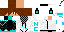 Texture for c223