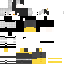 Texture for ds