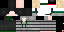 Texture for 1231