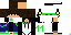 Texture for Steve11