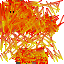 Texture for nice