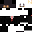 Texture for cat