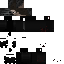 Texture for 431314341431