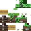 Texture for soh