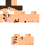 Texture for sfwasd