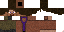 Texture for Steve