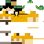 Texture for robinli