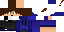 Texture for TheDollarhider