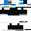 Texture for Duck
