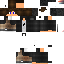 Texture for steve