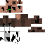 Texture for Endervillager