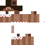 Texture for Steve en calzones