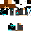 Texture for fdef