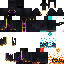 Texture for ender