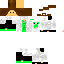 Texture for Flink3