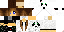 Texture for 66666