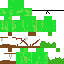 Texture for bojoviskin
