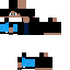 Texture for Pidji