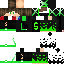 Texture for lucasskin