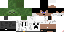 Texture for minecrafter