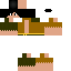 Texture for Pacheco