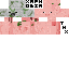 Texture for pigman