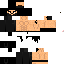 Texture for seth rollins ( heel ) 2020