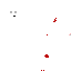 Texture for RV2