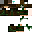Texture for druid