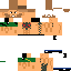 Texture for Connor Mcgregor