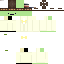 Texture for Groomsman Turtle