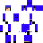 Texture for blazercraft1