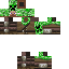 Texture for steve m.