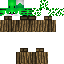 Texture for Tree Skin