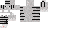 Texture for white tiger