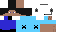 Texture for char