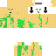 Texture for minecraft player